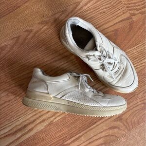 WELL WORN Everlane Women’s Leather Sneakers